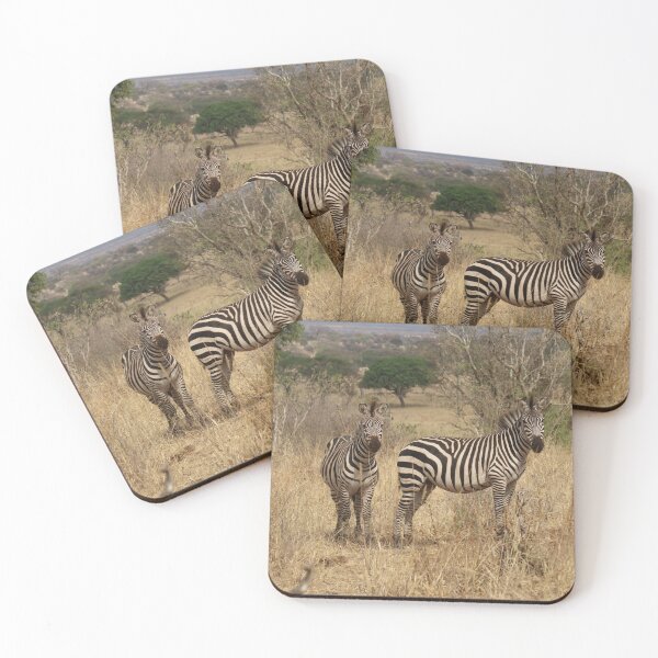 Item preview, África, Tanzania, animales, cebras, Fotografía, BebiCervin designed and sold by BebiCervin.