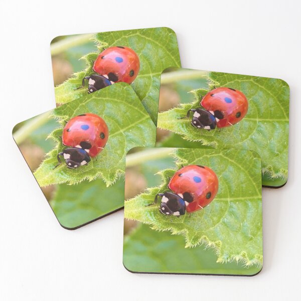 Item preview, Red Lady Bird Insect On Green Cucumber Leave Photography designed and sold by ZophiaSolaris.