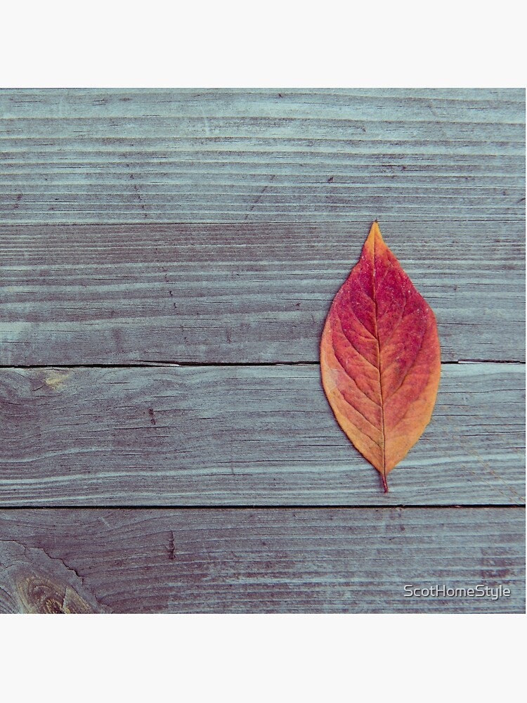 Red autumn leaf on wood by ScotHomeStyle