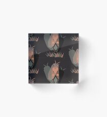 cute bugs Acrylic Block