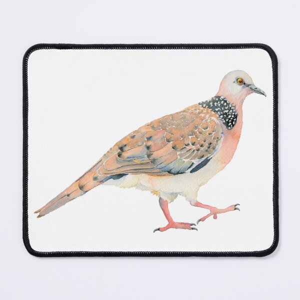 Item preview, Spotted Dove watercolour bird illustration designed and sold by Zoya Makarova.