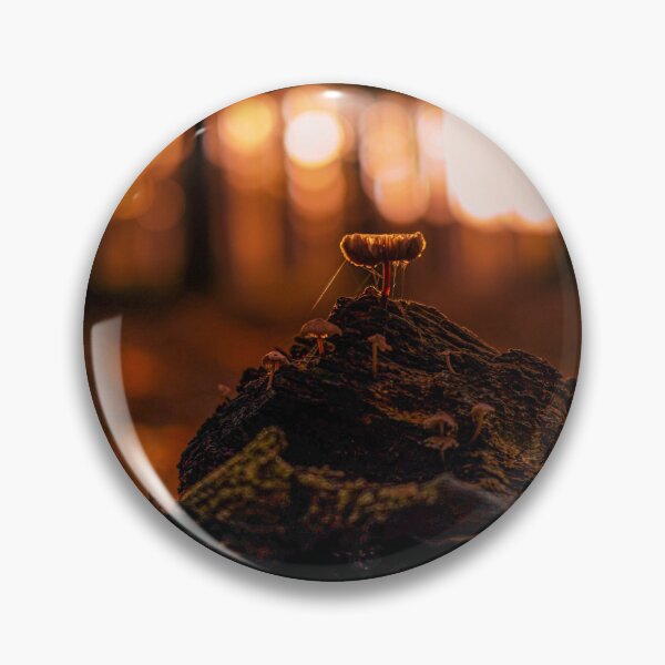 Item preview, fungus on the undergrowth designed and sold by Pietschi2022.