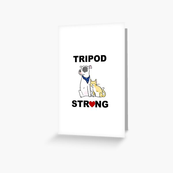 Tripod Strong Dog and Cat Greeting Card