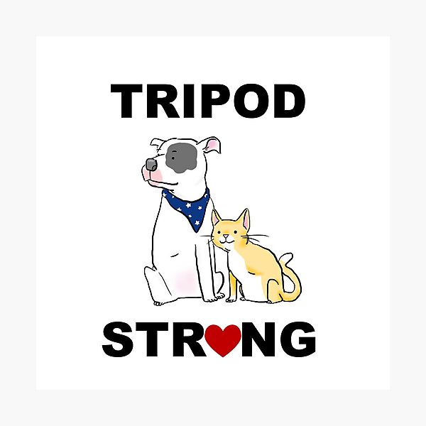 Item preview, Tripod Strong Dog and Cat designed and sold by Furkid Studio.