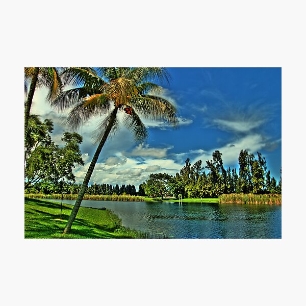 Item preview, Florida designed and sold by Mandy Wiltse.