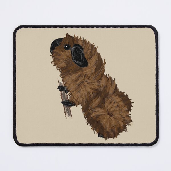 Item preview, Nice Artwork showing a californian-colored Abyssinian Guinea Pig III designed and sold by JD's Shop.