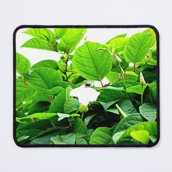 Item preview, green leaves background designed and sold by Francespoppy.