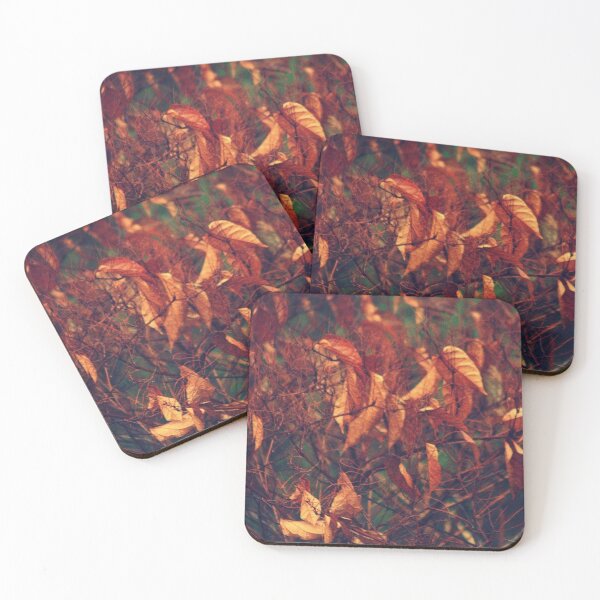 Item preview, autumn leaves in the rain designed and sold by Francespoppy.