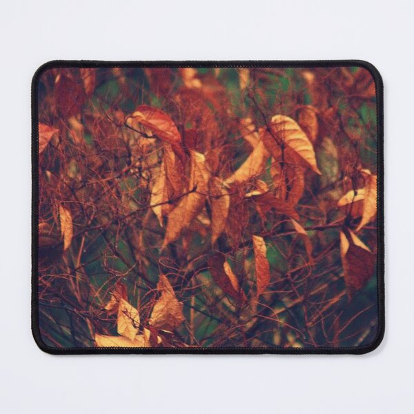 Item preview, autumn leaves in the rain designed and sold by Francespoppy.