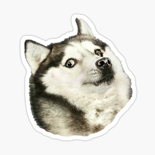 Item preview, Husky Doge designed and sold by stuffyouwontlike.
