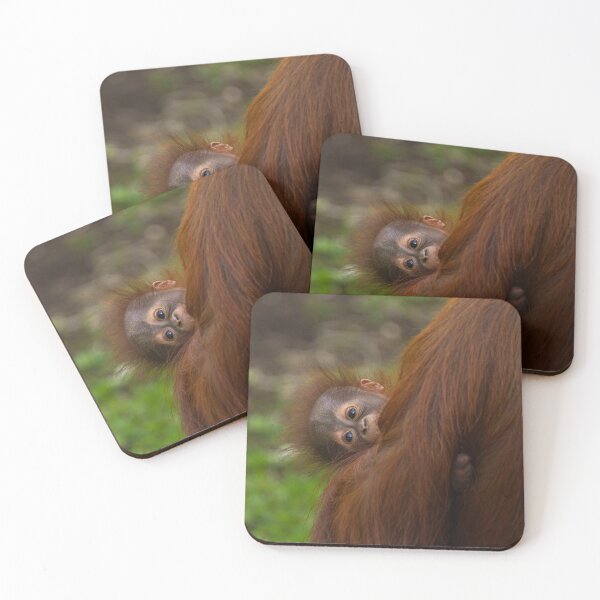 Item preview, Orangutan Baby Having A Peek designed and sold by rawshutterbug.