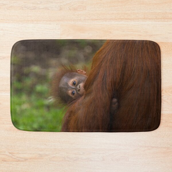 Item preview, Orangutan Baby Having A Peek designed and sold by rawshutterbug.