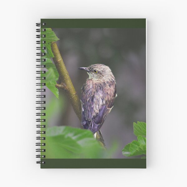 Item preview, Bird on Branch designed and sold by BelleAim.