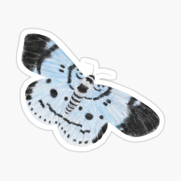 Blue Tiger Moth Sticker