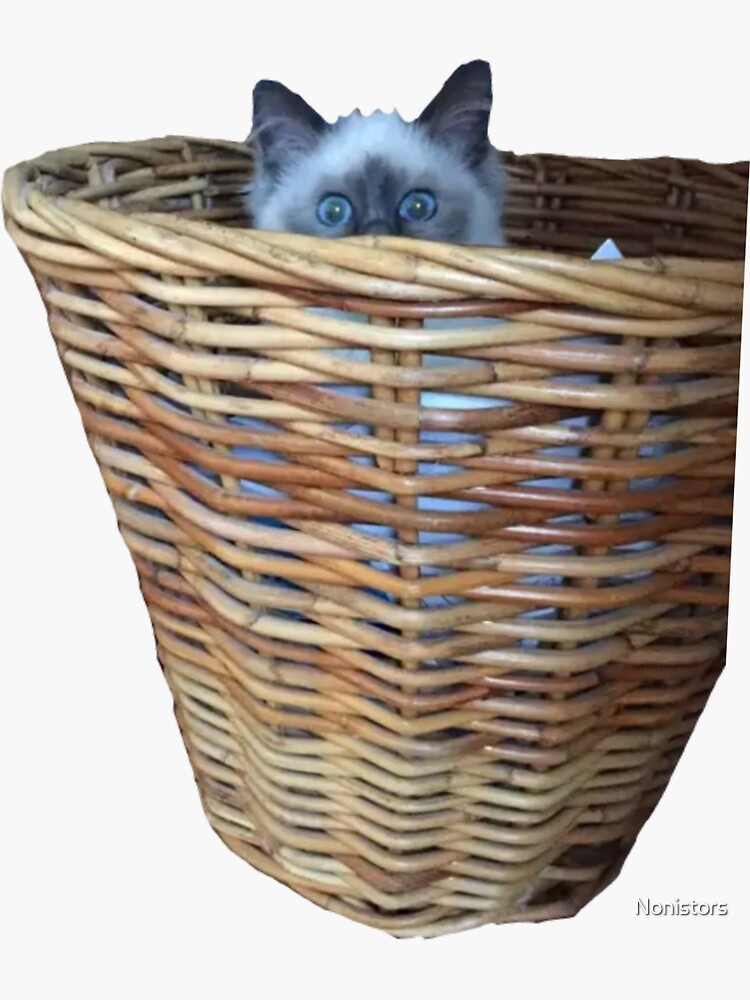 "Cat in the laundry basket" Sticker for Sale by Nonistors Redbubble