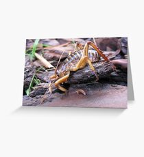 Tree Weta Greeting Card