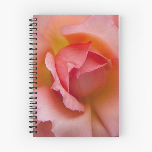 Artikelvorschau, Rosa Rose # 1 entworfen und verkauft von VanOostrum.