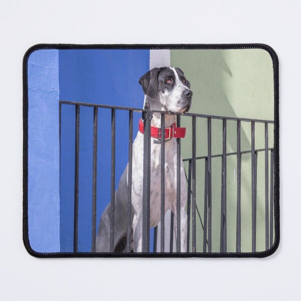Item preview, Watchdog designed and sold by Ralph Goldsmith.