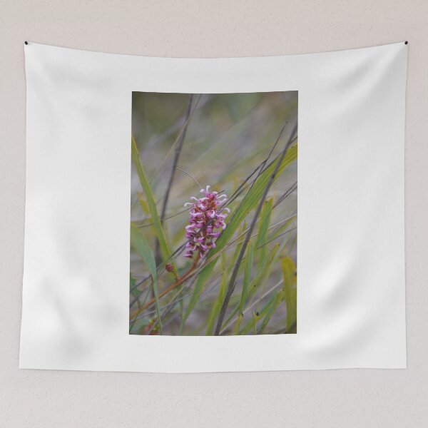 Item preview,  Oak Leaf Grevillea (G.quercifolia),  designed and sold by lezvee.