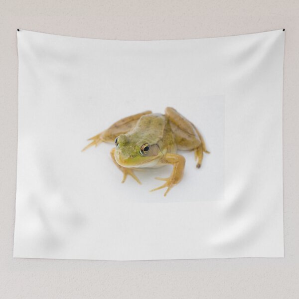 Item preview, Frog Pose designed and sold by Susan Stone.