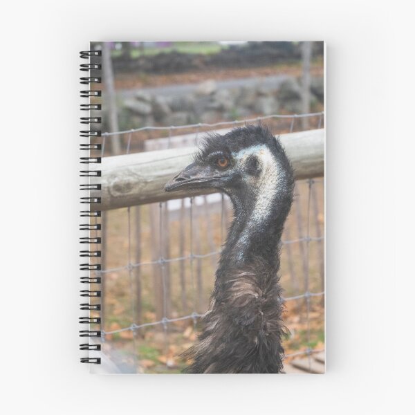 Item preview, Feeling Fenced In designed and sold by Ruth Curtis.