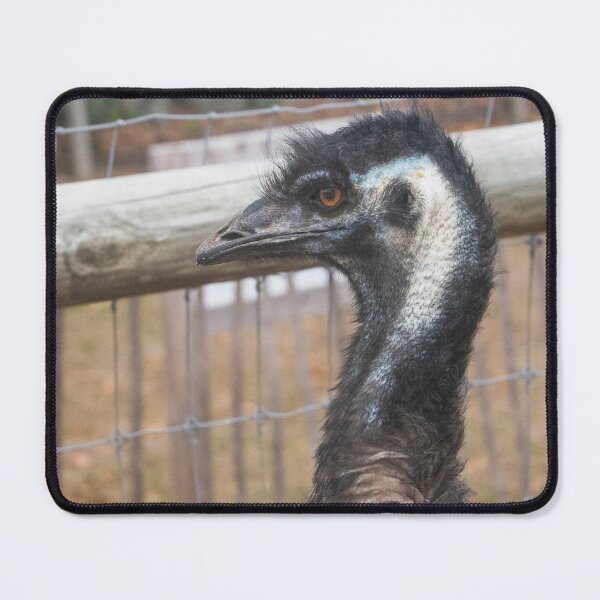Item preview, Feeling Fenced In designed and sold by Ruth Curtis.