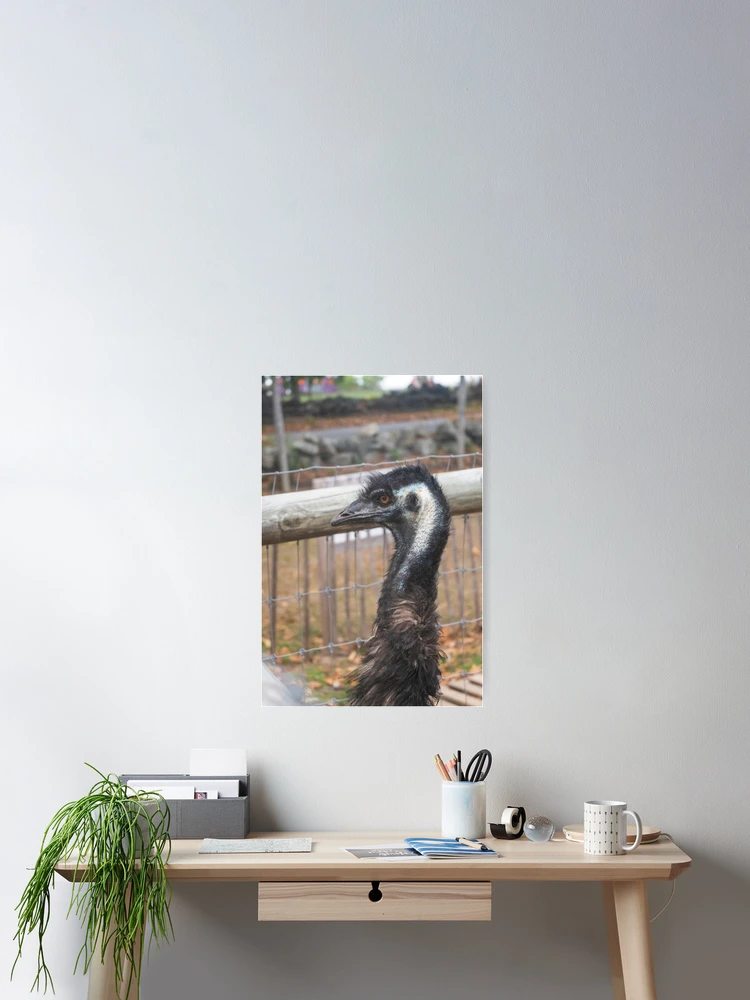 Thumbnail 2 of 3, Poster, Feeling Fenced In designed and sold by Ruth Curtis.