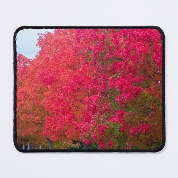 Item preview, Brilliance of colors in autumn designed and sold by Ruth Curtis.