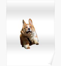 MAJESTIC DOGGO Poster