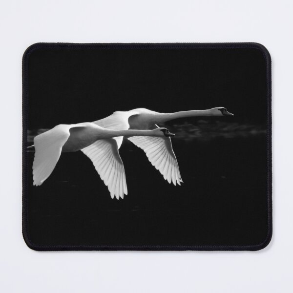 Item preview, Two Swans Flying designed and sold by Sam Morrison.