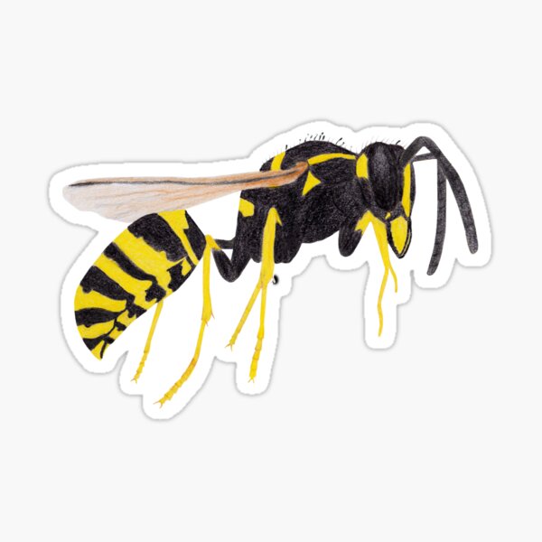 Paper Wasp Sticker
