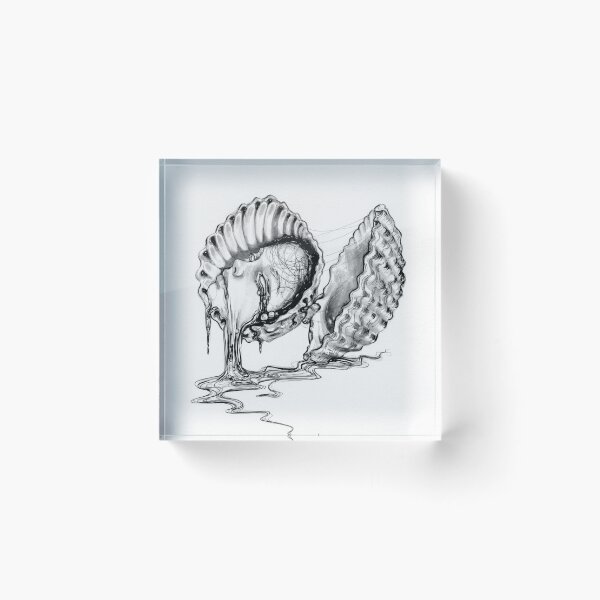 Item preview, Scallop designed and sold by Ibreathart.