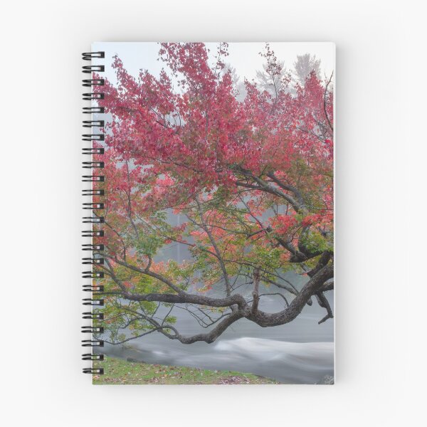 Item preview, Majestic red tree over the river in the early morning fog designed and sold by VadimK.