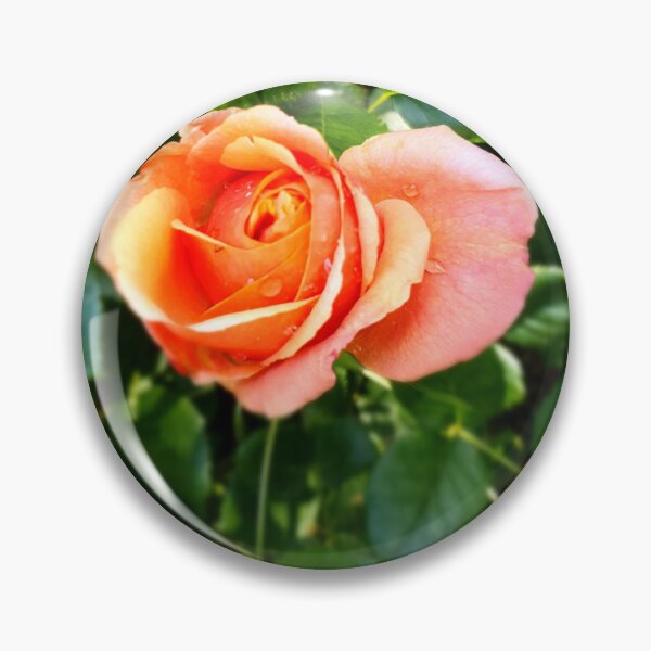 Item preview, Rose Bloom designed and sold by Ms-Bexy.