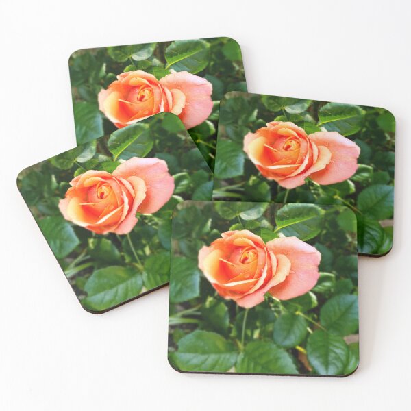 Item preview, Rose Bloom designed and sold by Ms-Bexy.