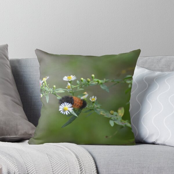 Item preview, Banded Woolly Bear Caterpillar designed and sold by Kathleen Brant.