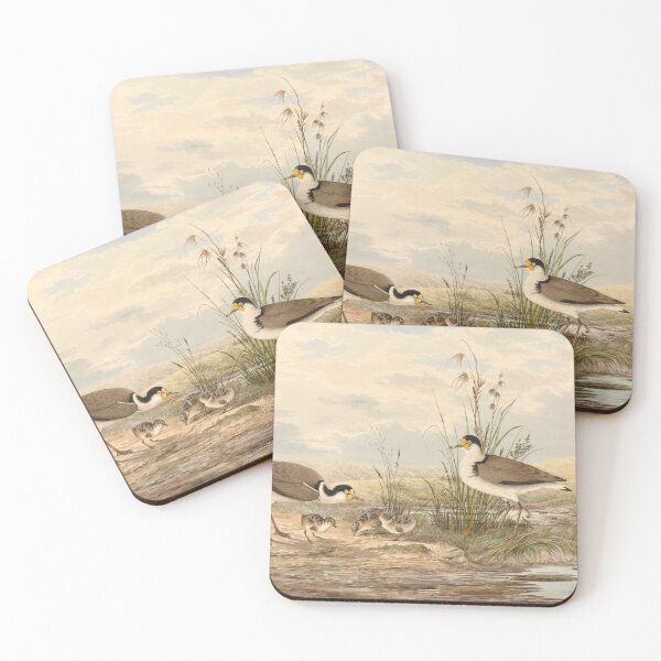 Item preview,  Neville HP Cayley  Masked Lapwing, Vanellus miles designed and sold by OldTimeArt.