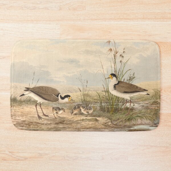 Item preview, Neville HP Cayley Masked Lapwing, Vanellus miles designed and sold by OldTimeArt.