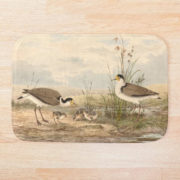 Item preview,  Neville HP Cayley  Masked Lapwing, Vanellus miles designed and sold by OldTimeArt.