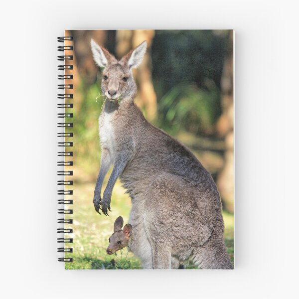 Item preview, "Mum, am I safe in here?" designed and sold by Ian Ramsay.