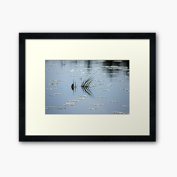 My Monet Framed Art Print