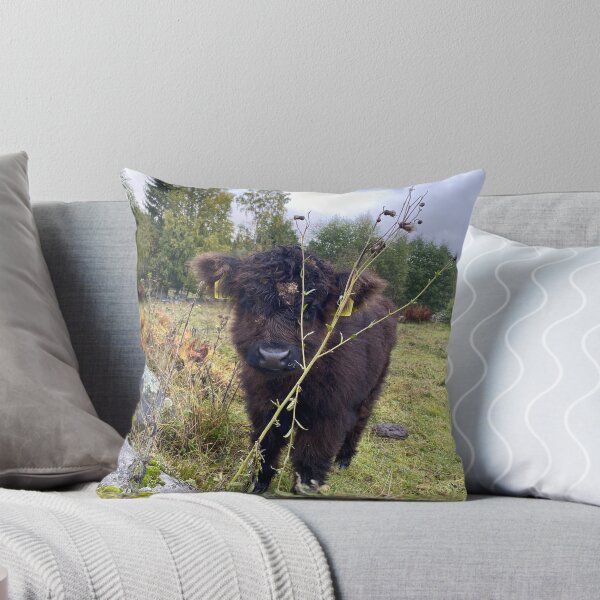 Artikelvorschau, Scottish Highland Cattle Calf 4106 entworfen und verkauft von SaarelaHighland.