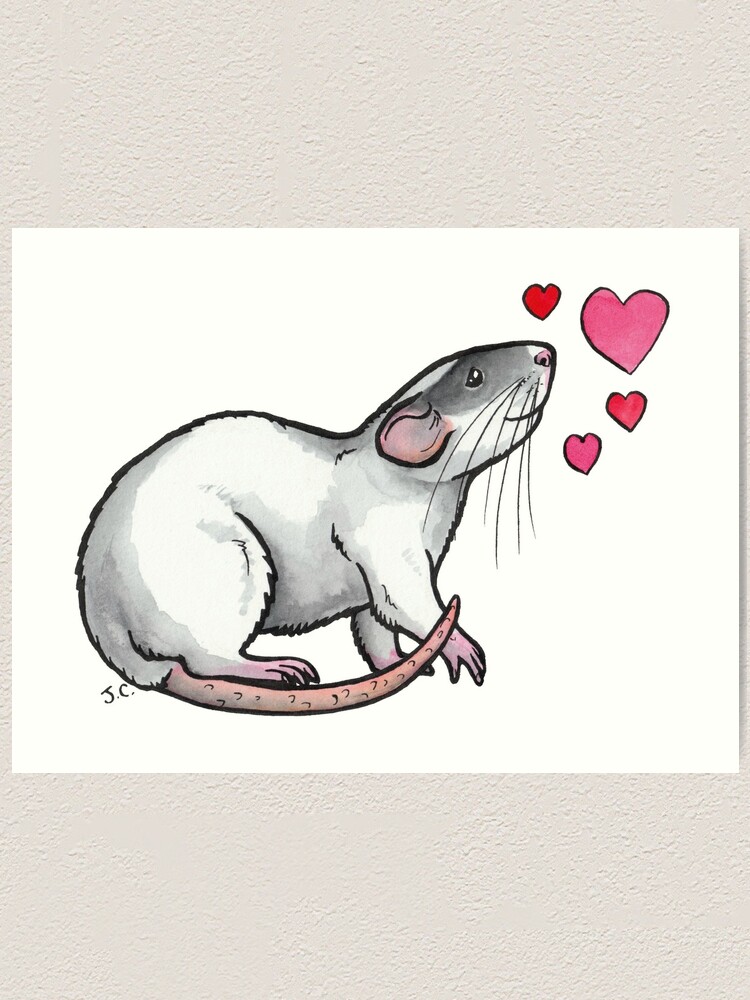 Dumbo Pet Rat Love Art Print By Animalartbyjess Redbubble