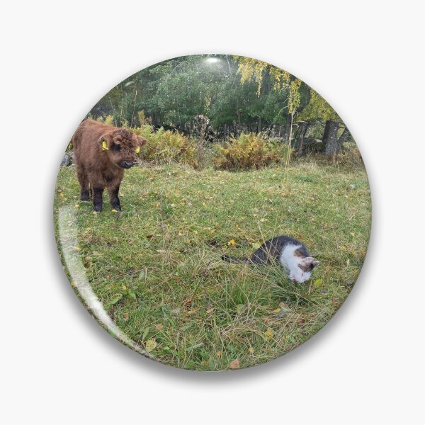 Item preview, Scottish Highland Cattle Calf and Cat 4107 designed and sold by SaarelaHighland.