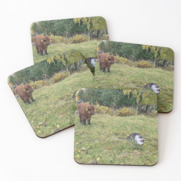 Item preview, Scottish Highland Cattle Calf and Cat 4107 designed and sold by SaarelaHighland.
