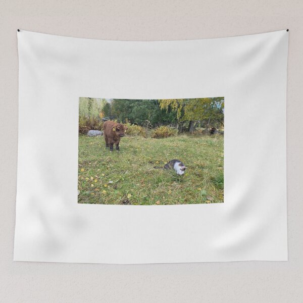 Item preview, Scottish Highland Cattle Calf and Cat 4107 designed and sold by SaarelaHighland.
