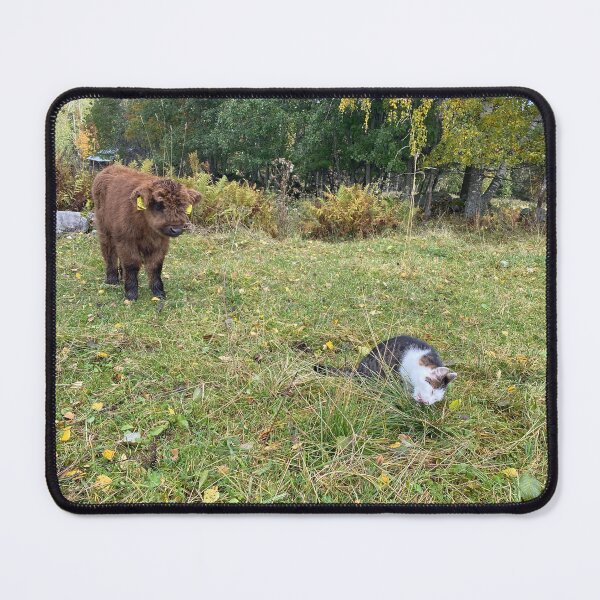 Item preview, Scottish Highland Cattle Calf and Cat 4107 designed and sold by SaarelaHighland.