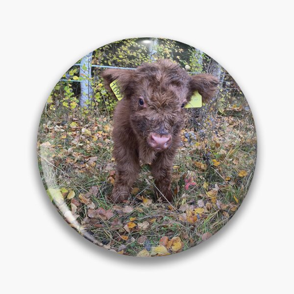 Artikelvorschau, Scottish Highland Cattle Calf 4109 entworfen und verkauft von SaarelaHighland.