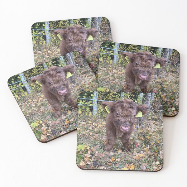 Item preview, Scottish Highland Cattle Calf 4109 designed and sold by SaarelaHighland.