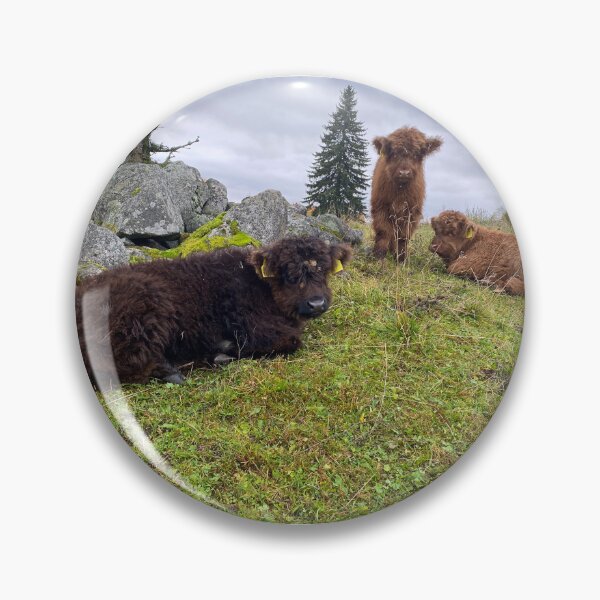 Artikelvorschau, Scottish Highland Cattle Calves 4110 entworfen und verkauft von SaarelaHighland.